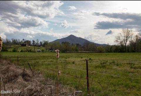 Tiny photo for Lot B Tarwater Lane, Sevierville, TN 37862 (MLS # 1359867)