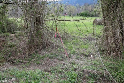 Tiny photo for Lot B Tarwater Lane, Sevierville, TN 37862 (MLS # 1359867)
