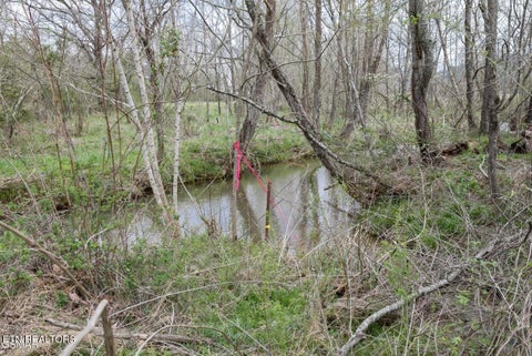 Tiny photo for Lot B Tarwater Lane, Sevierville, TN 37862 (MLS # 1359867)