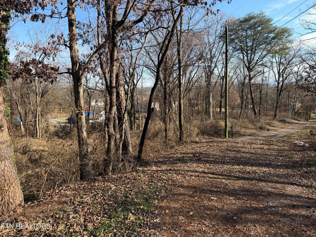 Photo of 3436 Divide St, Knoxville, TN 37921 (MLS # 1329358)