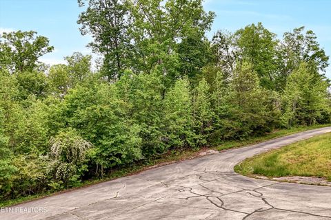 Tiny photo for Emory Pointe Lane, Harriman, TN 37748 (MLS # 1299077)