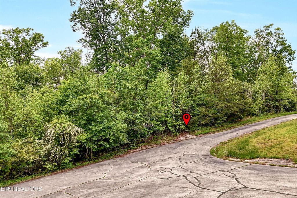 Photo of Emory Pointe Lane, Harriman, TN 37748 (MLS # 1299077)