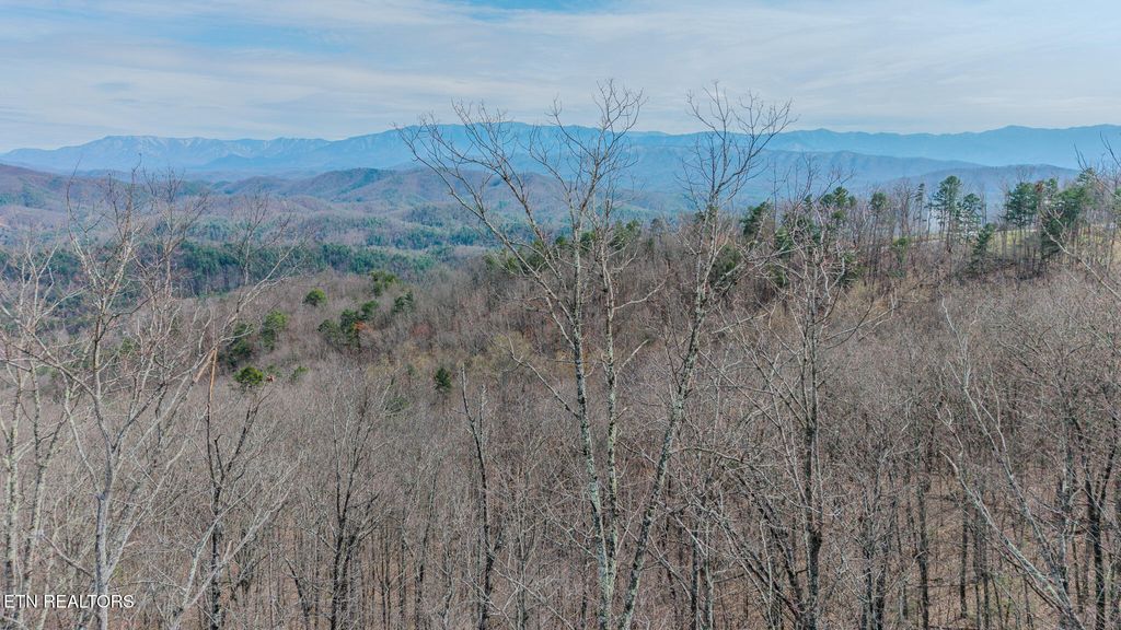 Photo of 1 Shell Mountain Rd, Sevierville, TN 37876 (MLS # 1334281)