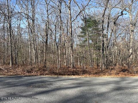 Photo of 9142 Weketa Circle, Crossville, TN 38572 (MLS # 1341295)
