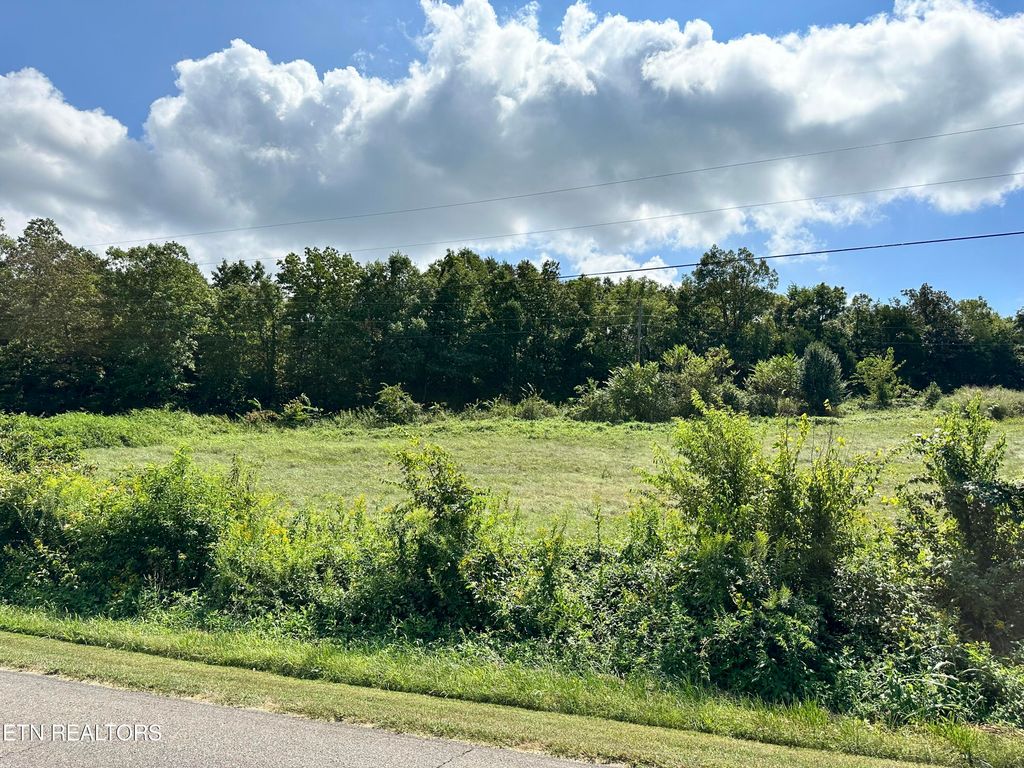 Photo of Baker Springs Rd, White Pine, TN 37890 (MLS # 1239393)