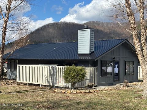 4304 Little Creek #A Way Cosby TN 37722