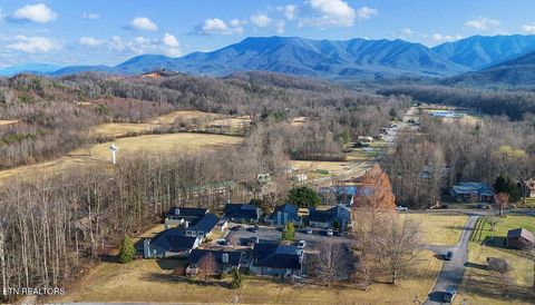 Tiny photo for 4304 Little Creek #A Way, Cosby, TN 37722 (MLS # 1331438)