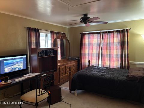 Tiny photo for 4304 Little Creek #A Way, Cosby, TN 37722 (MLS # 1331438)