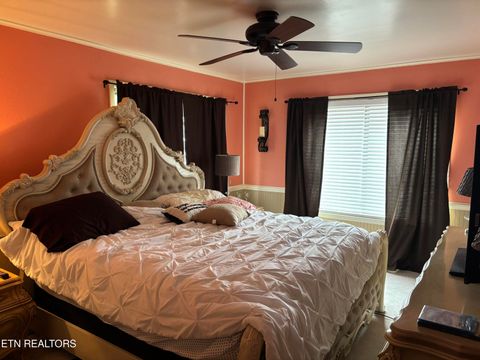 Tiny photo for 4304 Little Creek #A Way, Cosby, TN 37722 (MLS # 1331438)