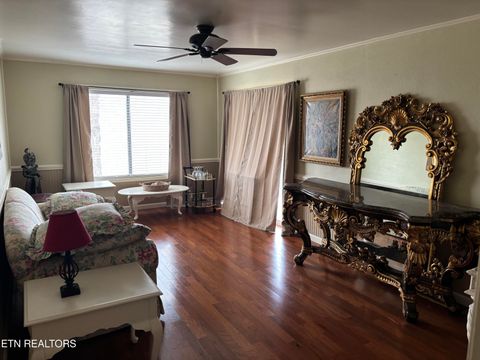 Tiny photo for 4304 Little Creek #A Way, Cosby, TN 37722 (MLS # 1331438)