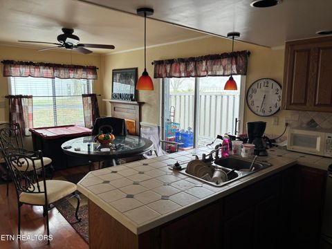 Tiny photo for 4304 Little Creek #A Way, Cosby, TN 37722 (MLS # 1331438)