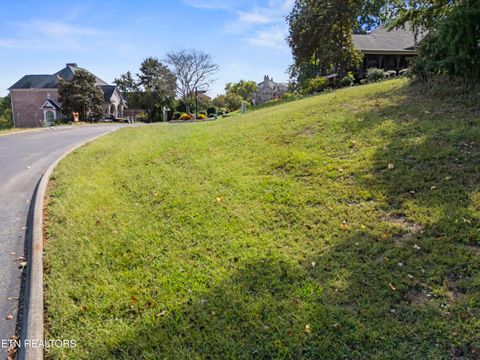 Tiny photo for 104 Bufflehead Drive, Vonore, TN 37885 (MLS # 1318336)