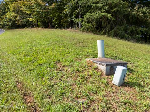 Tiny photo for 104 Bufflehead Drive, Vonore, TN 37885 (MLS # 1318336)