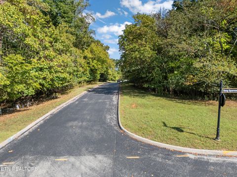 Tiny photo for 104 Bufflehead Drive, Vonore, TN 37885 (MLS # 1318336)