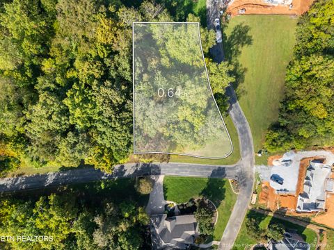 Photo of 104 Bufflehead Drive, Vonore, TN 37885 (MLS # 1318336)