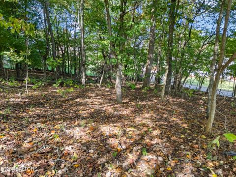 Tiny photo for 104 Bufflehead Drive, Vonore, TN 37885 (MLS # 1318336)