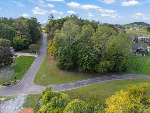 Tiny photo for 104 Bufflehead Drive, Vonore, TN 37885 (MLS # 1318336)