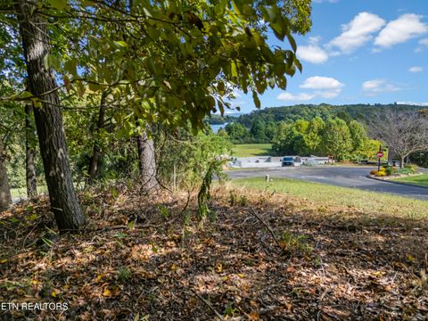 Tiny photo for 104 Bufflehead Drive, Vonore, TN 37885 (MLS # 1318336)