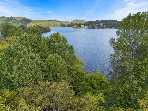 Tiny photo for 104 Bufflehead Drive, Vonore, TN 37885 (MLS # 1318336)