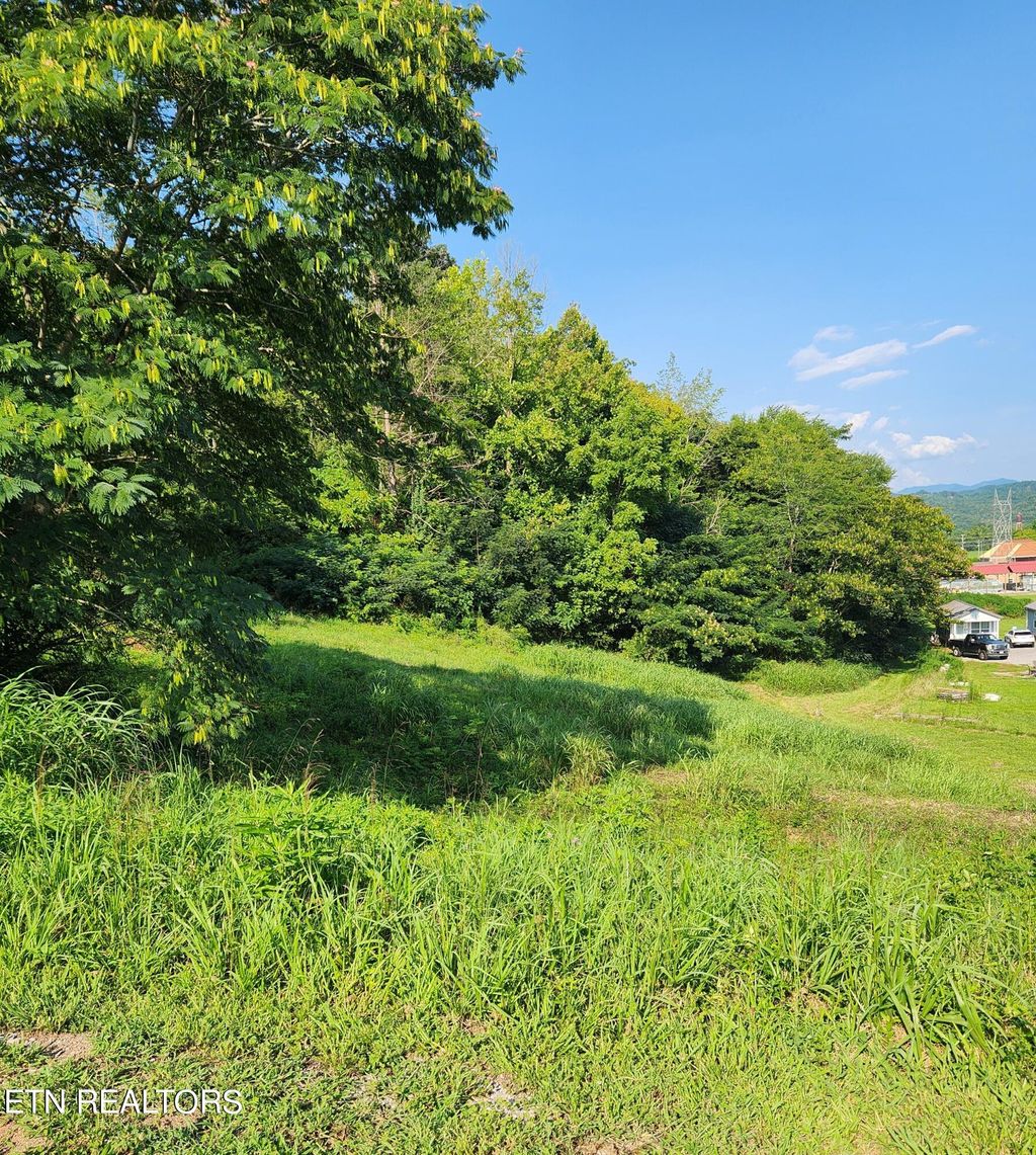 Photo of 280 Bear Lane Ln, Tellico Plains, TN 37385 (MLS # 1272141)