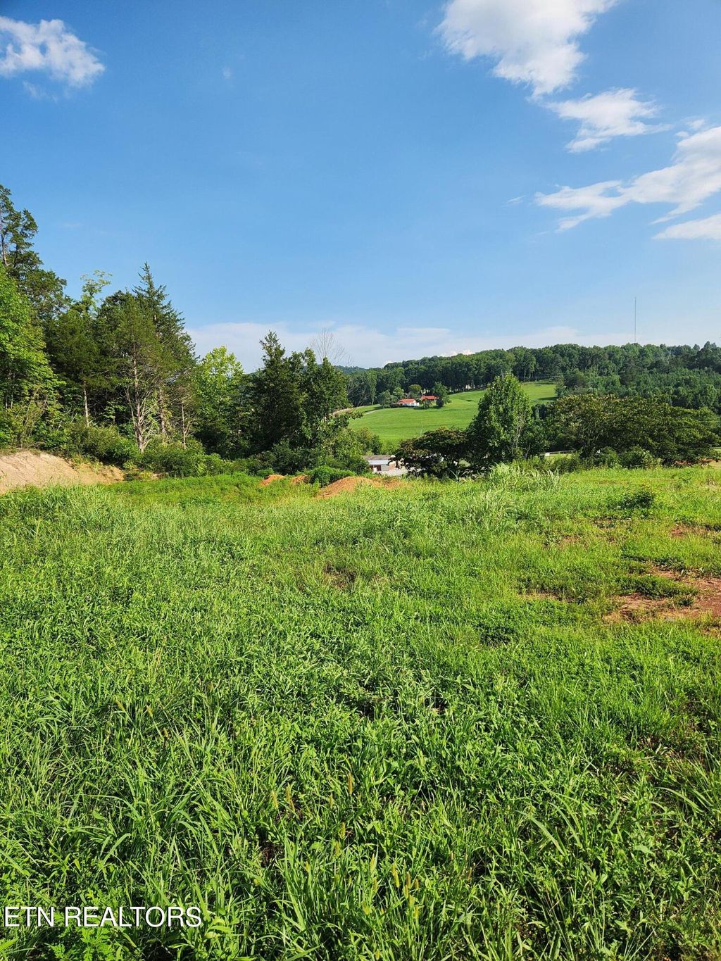 Photo of 280 Bear Lane Ln, Tellico Plains, TN 37385 (MLS # 1272141)