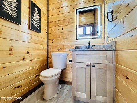 Tiny photo for 463 Sassafras Tr, Sevierville, TN 37876 (MLS # 1326087)