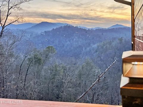 Tiny photo for 463 Sassafras Tr, Sevierville, TN 37876 (MLS # 1326087)