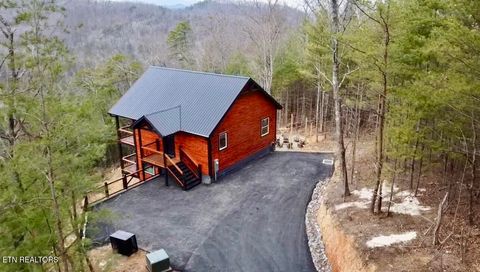 Tiny photo for 463 Sassafras Tr, Sevierville, TN 37876 (MLS # 1326087)