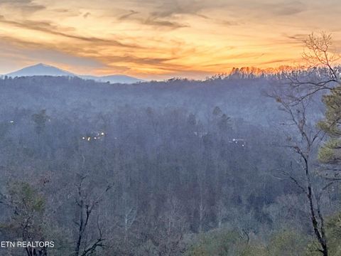 Tiny photo for 463 Sassafras Tr, Sevierville, TN 37876 (MLS # 1326087)