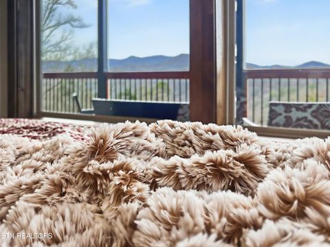 Tiny photo for 463 Sassafras Tr, Sevierville, TN 37876 (MLS # 1326087)