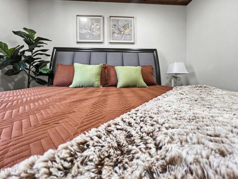 Tiny photo for 463 Sassafras Tr, Sevierville, TN 37876 (MLS # 1326087)