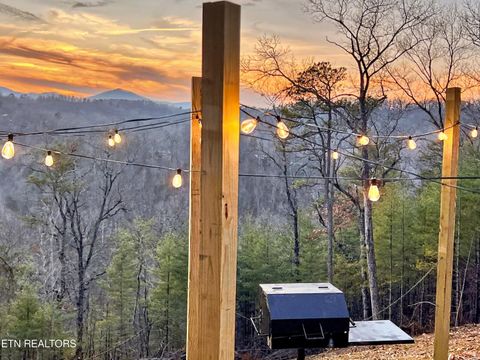 Tiny photo for 463 Sassafras Tr, Sevierville, TN 37876 (MLS # 1326087)