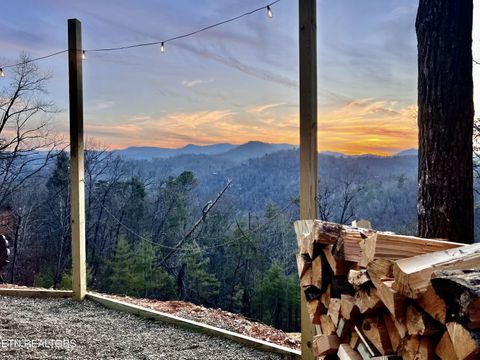 Tiny photo for 463 Sassafras Tr, Sevierville, TN 37876 (MLS # 1326087)