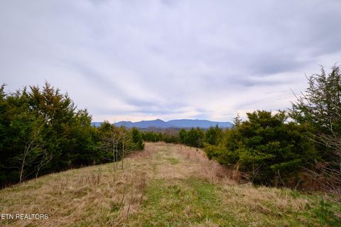 Tiny photo for 1430 Swannsylvania Rd #3, Dandridge, TN 37725 (MLS # 1332435)