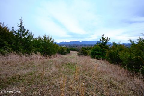 Tiny photo for 1430 Swannsylvania Rd #3, Dandridge, TN 37725 (MLS # 1332435)