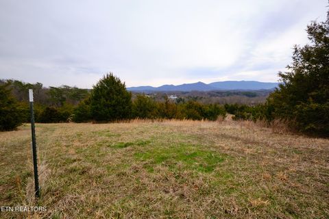 Tiny photo for 1430 Swannsylvania Rd #3, Dandridge, TN 37725 (MLS # 1332435)