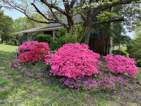 Tiny photo for 205 Vintage Lane, Clinton, TN 37716 (MLS # 1337764)