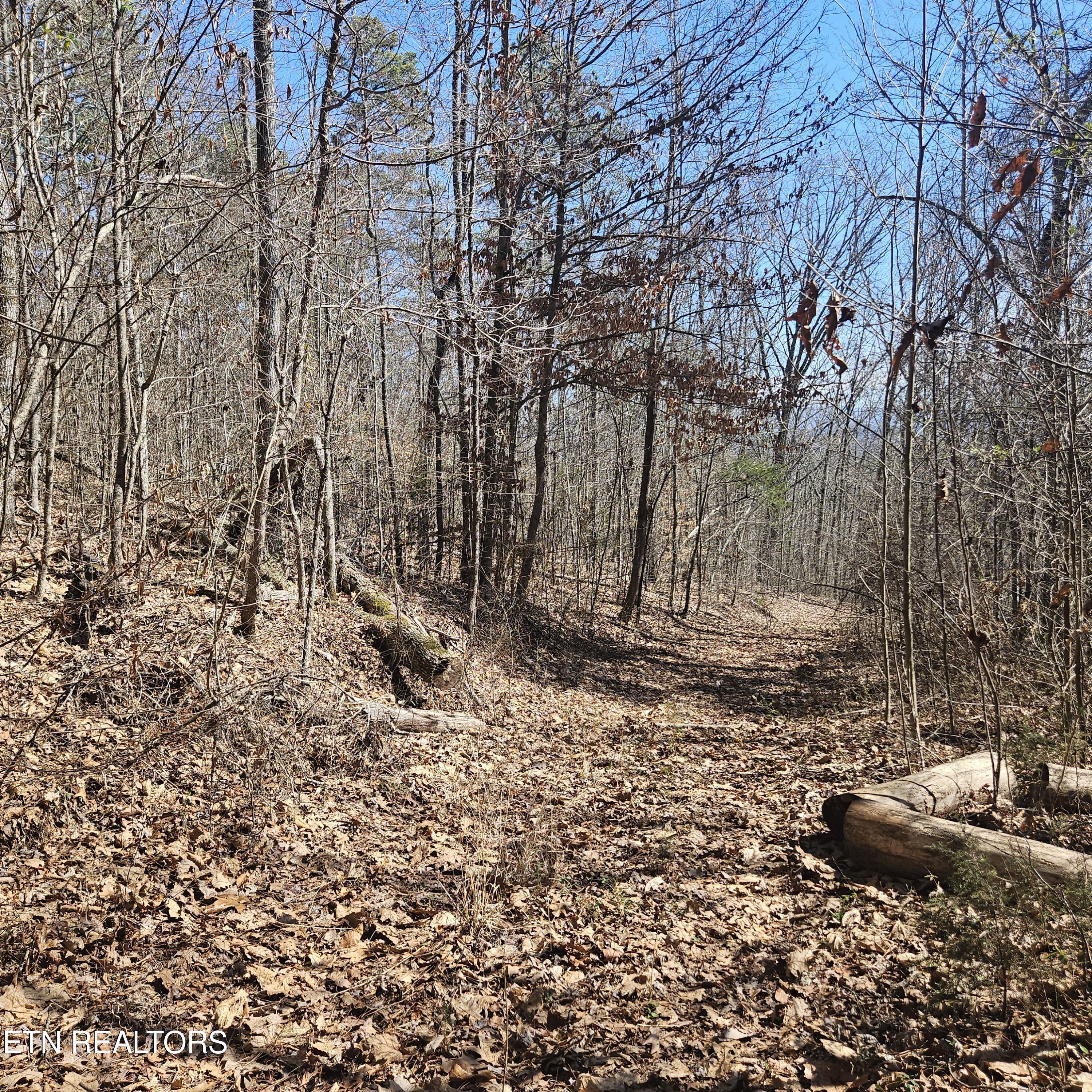 0 Lick Creek Rd