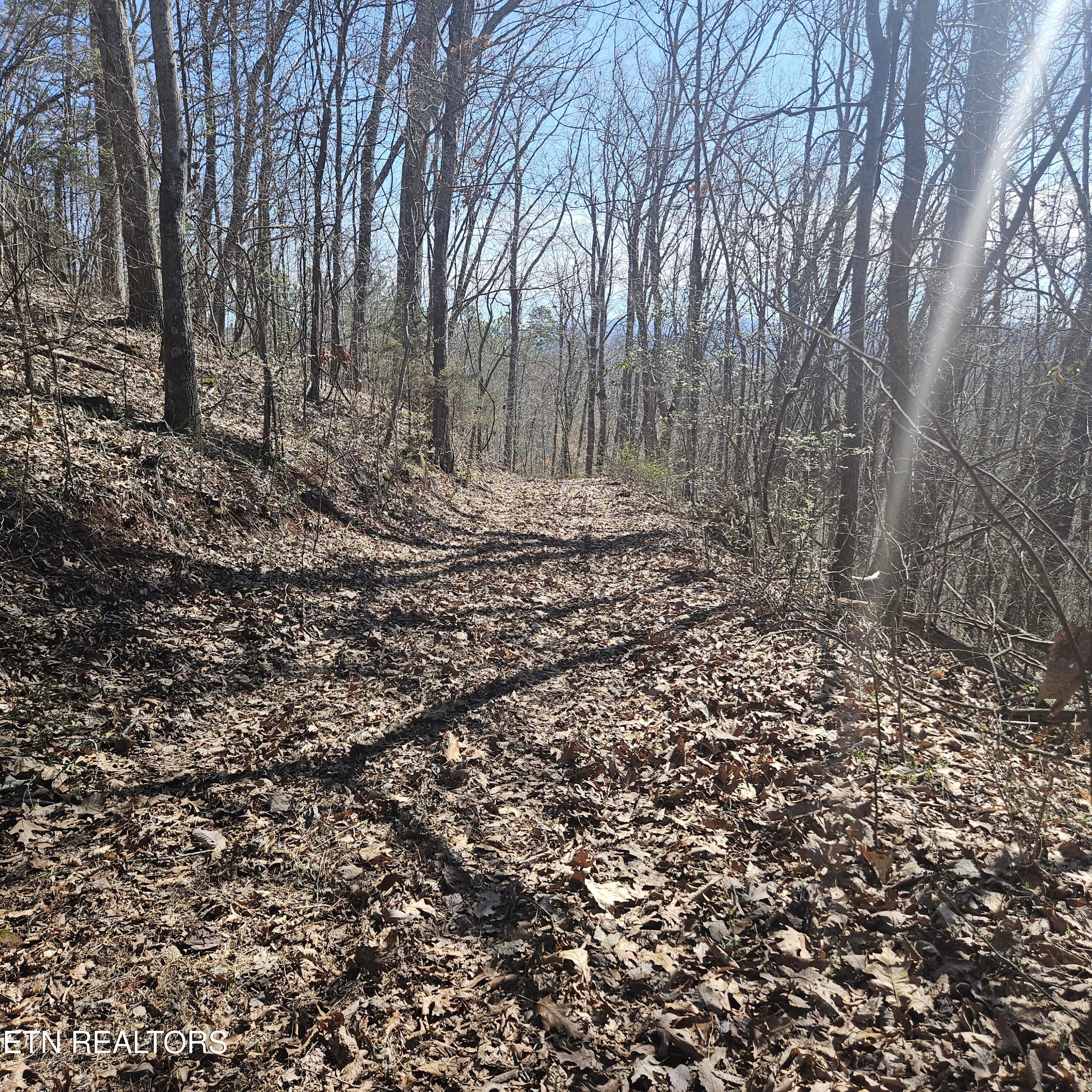 0 Lick Creek Rd