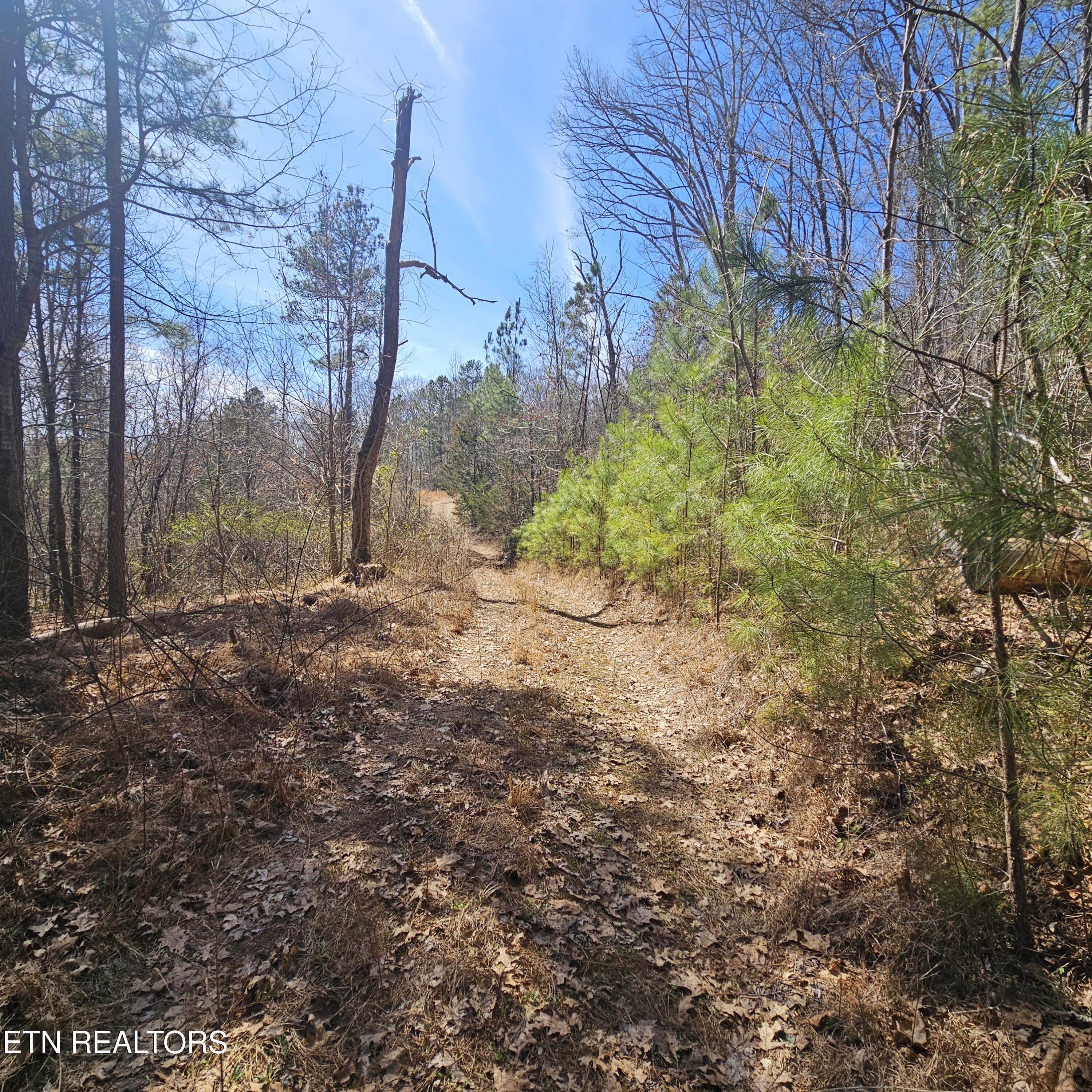 0 Lick Creek Rd