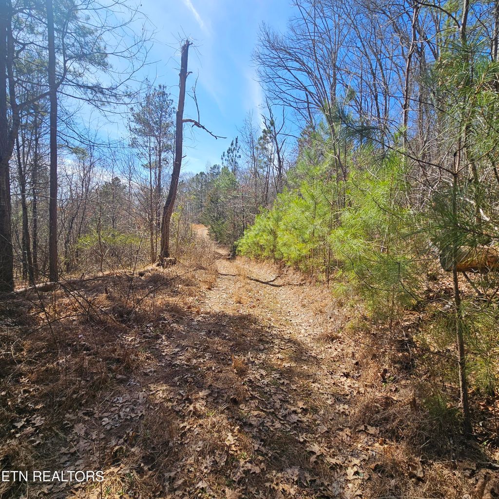 Photo of 0 Lick Creek Rd, Tellico Plains, TN 37385 (MLS # 1292442)