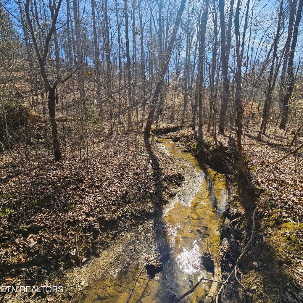 Photo of 0 Lick Creek Rd, Tellico Plains, TN 37385 (MLS # 1292442)