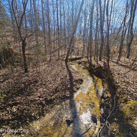 0 Lick Creek Rd Tellico Plains TN 37385