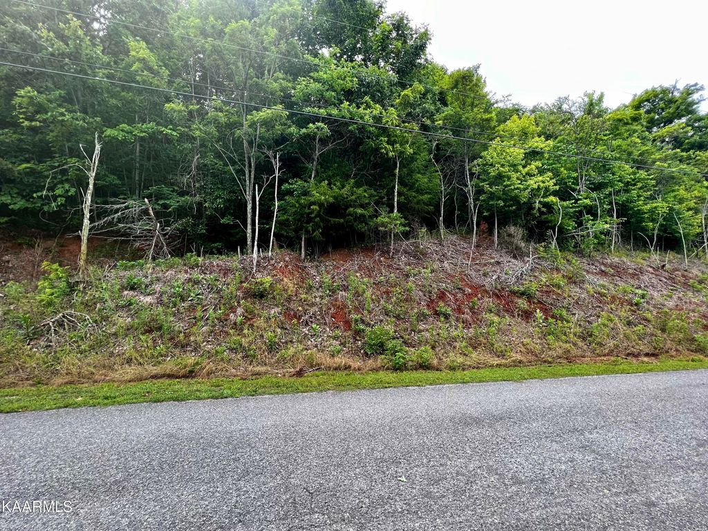 Photo of 212 Clinch View Rd, New Tazewell, TN 37825 (MLS # 1231342)