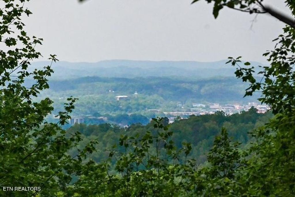 Photo of 1444 Indian Court, Sevierville, TN 37876 (MLS # 1338596)