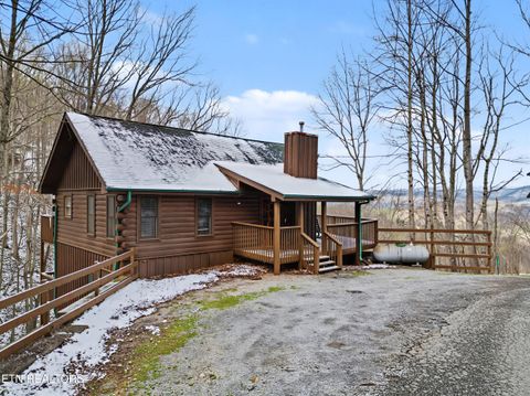 Photo of 3195 Emerald Springs Loop, Sevierville, TN 37862 (MLS # 1333173)