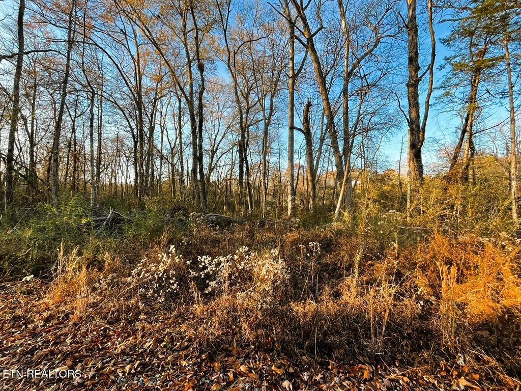 Photo of 1675 Euchee Road, Ten Mile, TN 37880 (MLS # 1286803)