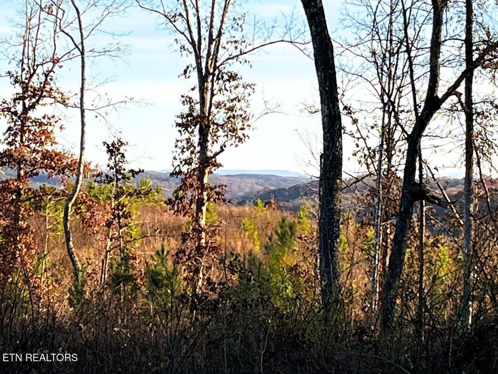 Photo of 1675 Euchee Road, Ten Mile, TN 37880 (MLS # 1286803)