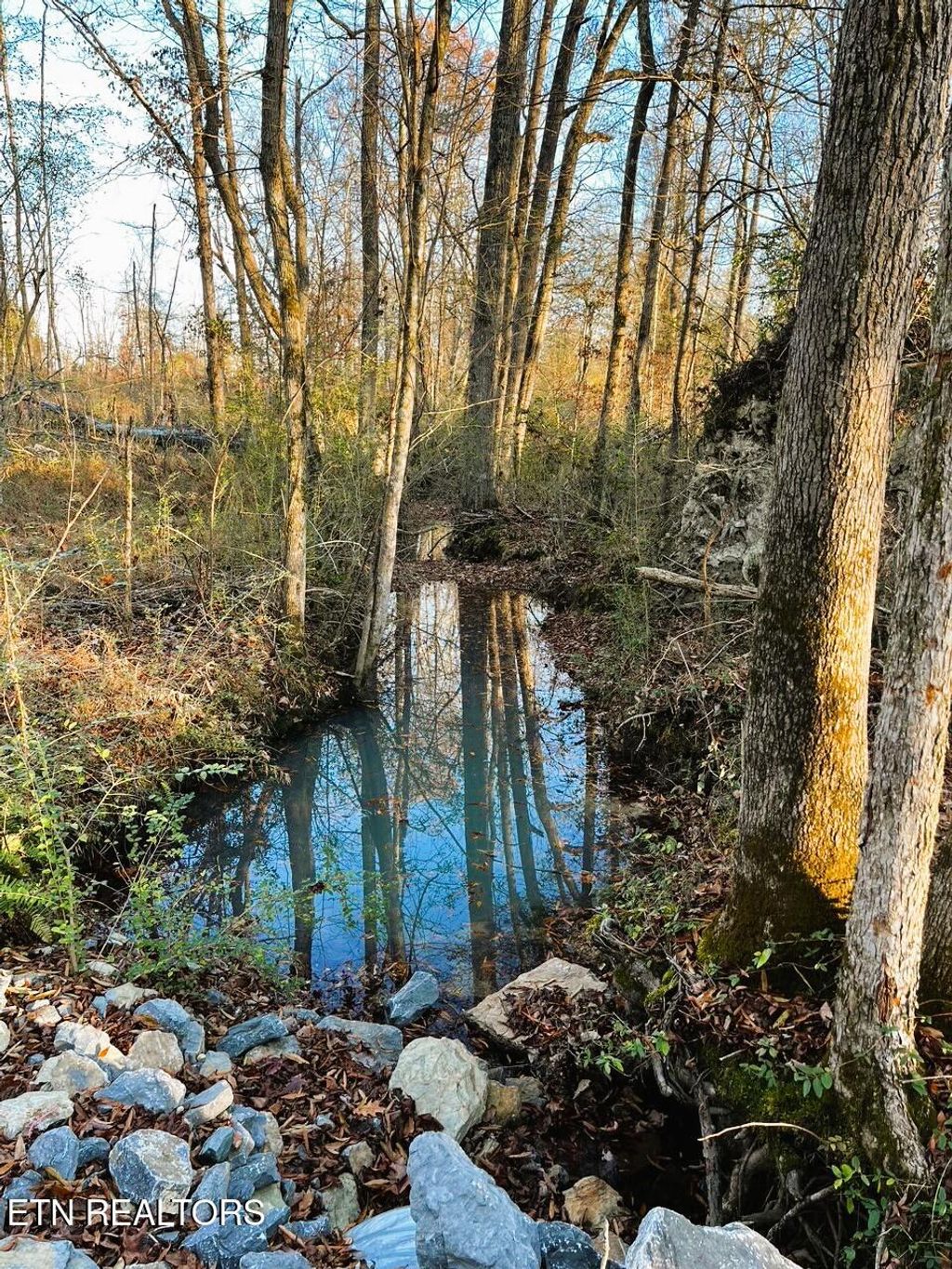 Photo of 1675 Euchee Road, Ten Mile, TN 37880 (MLS # 1286803)