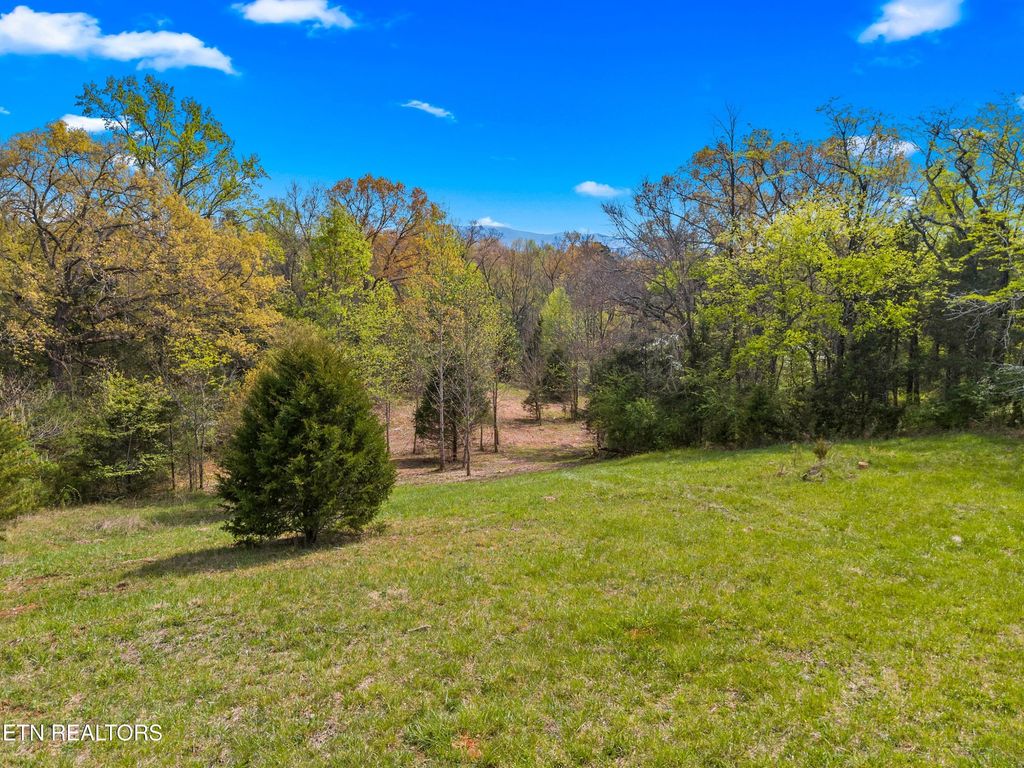 Photo of Bogard Rd, Newport, TN 37821 (MLS # 1336413)